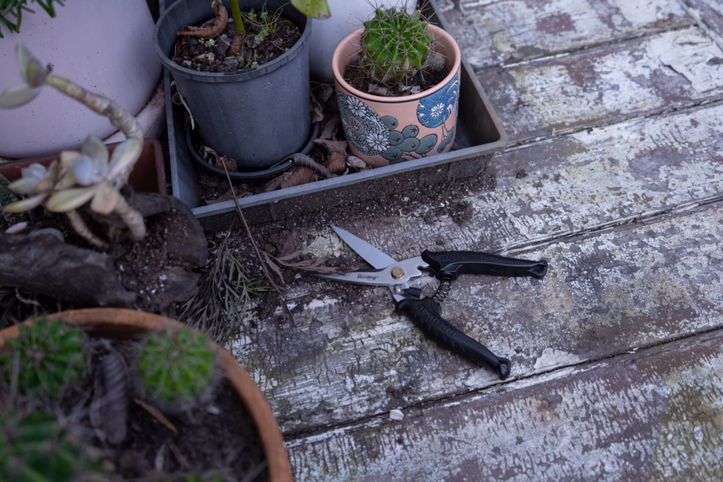 Do not leave your Black Panther Industrial Snips sitting in exposed areas like on the grass, in the soil or on concrete where moisture lingers. Do not leave your Black Panther Industrial Snips sitting in exposed areas like on the grass, in the soil or on concrete where moisture lingers.